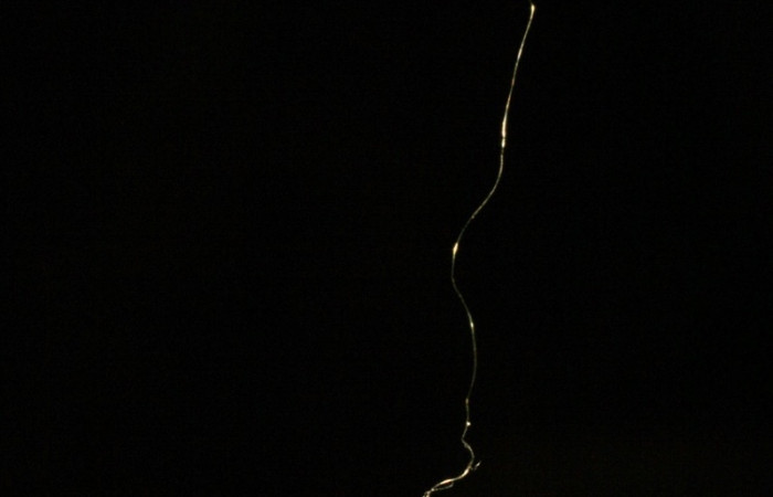 Figura 14. Pupario de Braconidae, <i>Prochoerodes striata</i></i>, Geometridae, , <i>Meteorus</i></i> Zitani01DHJ05, vista lateral,  (05-SRNP-33951-DHJ410134.)