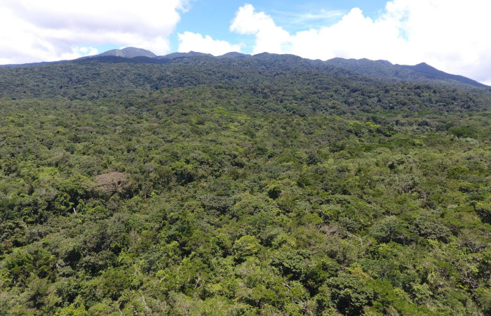 Fotografías: Sergio Cascante, Programa de Manejo de Fuego