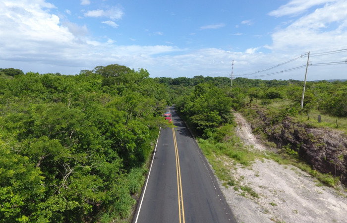 Fotografías: Sergio Cascante, Programa de Manejo de Fuego
https://www.acguanacaste.ac.cr/noticias/noticias-acg/4242-tunel-verde-y-vivo-de-la-biodiversidad-carretera-de-interamericana-norte-la-cruz-guanacaste
