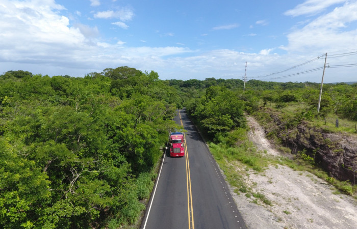Fotografías: Sergio Cascante, Programa de Manejo de Fuego
https://www.acguanacaste.ac.cr/noticias/noticias-acg/4242-tunel-verde-y-vivo-de-la-biodiversidad-carretera-de-interamericana-norte-la-cruz-guanacaste