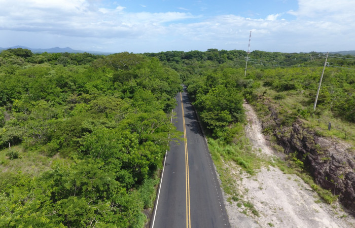 Fotografías: Sergio Cascante, Programa de Manejo de Fuego
https://www.acguanacaste.ac.cr/noticias/noticias-acg/4242-tunel-verde-y-vivo-de-la-biodiversidad-carretera-de-interamericana-norte-la-cruz-guanacaste
