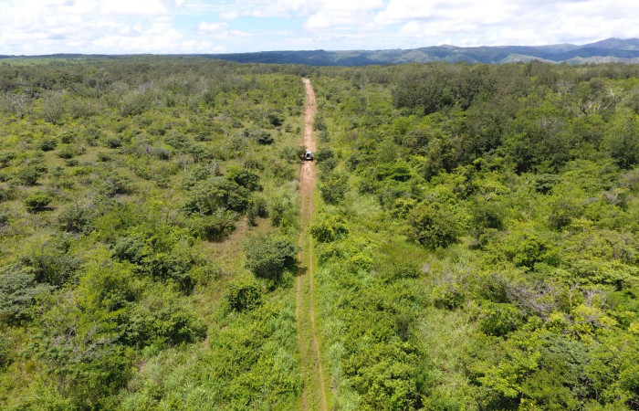 Fotografías: Sergio Cascante, Programa de Manejo de Fuego