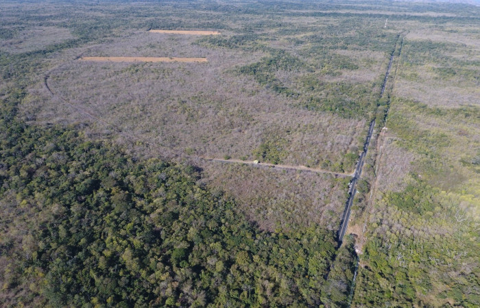 Fotografías: Sergio Cascante, Programa de Manejo de Fuego