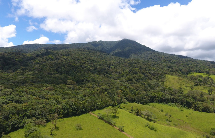 Fotografías: Sergio Cascante, Programa de Manejo de Fuego