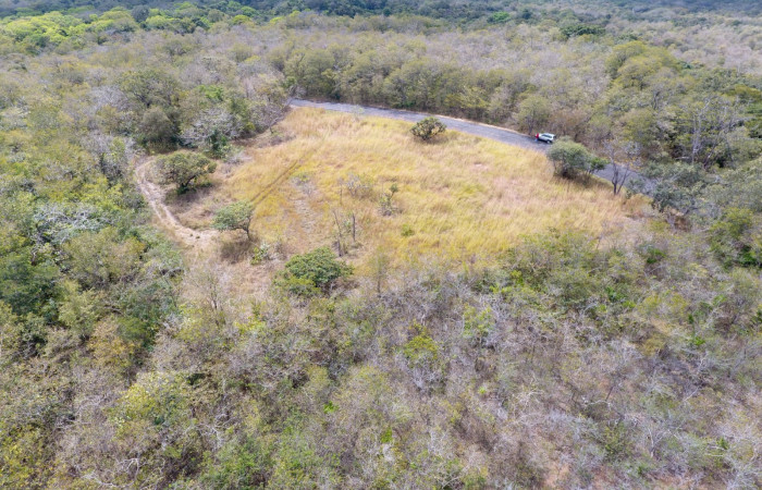 Fotografías: Sergio Cascante, Programa de Manejo de Fuego