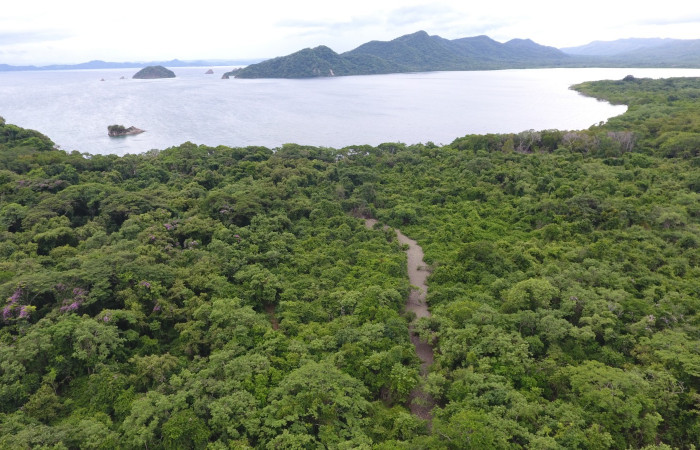 Fotografías: Sergio Cascante, Programa de Manejo de Fuego