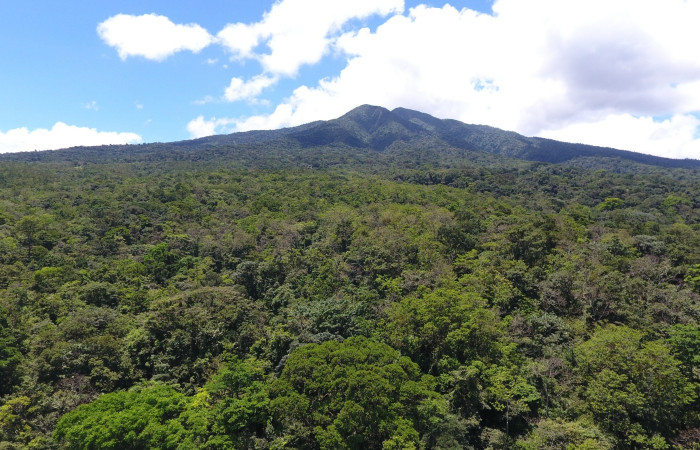 Fotografías: Sergio Cascante, Programa de Manejo de Fuego
