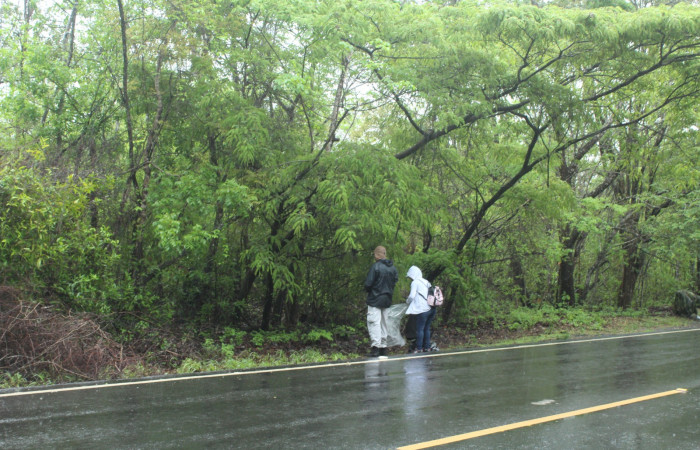 29 Mayo 2019
Foto: Melissa Espinoza