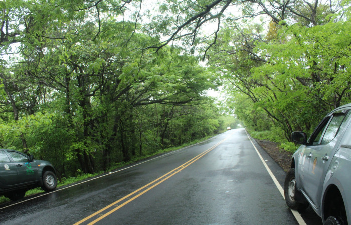 29 Mayo 2019
Foto: Melissa Espinoza