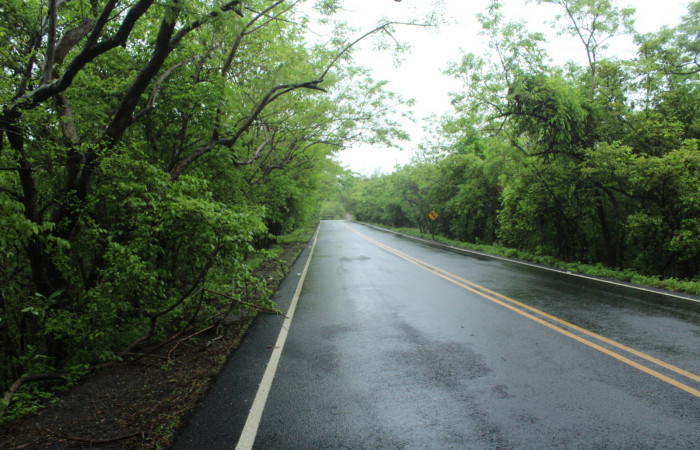 29 Mayo 2019
Foto: Melissa Espinoza