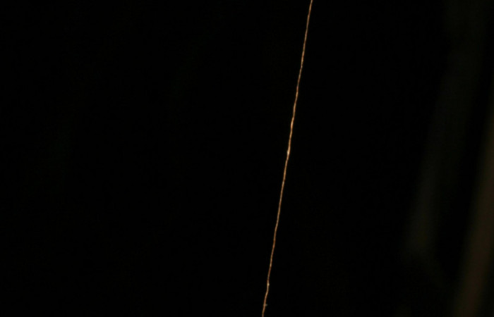 Fig.12. Capullo de Parásito de la familia (Ichneumonidae), en <i>Hypoleria rhene</i></i>. Voucher : 05-SRNP-33766-DHJ410119.jpg.