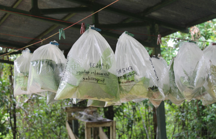 Figura 2. Bolsas con su numero de voucher.