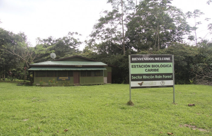 Figura 1. Estación Biológica Caribe, Sector Rincon Rain Forest, Area de Conservación Guanacaste, (ACG). Foto, Pablo Umaña.