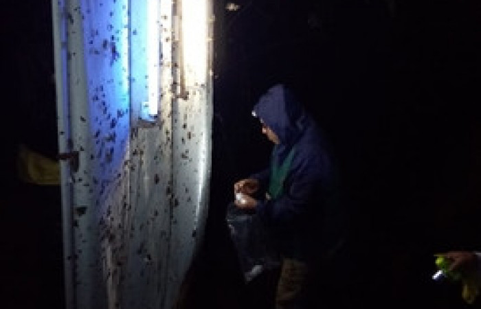 Figura 21. Manta de colecta nocturnas de adultos.