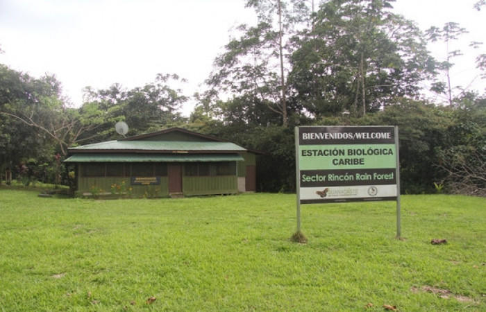 Fig. 1 Estación Biológica Caribe.  Foto, Pablo Umaña, diciembre2021.